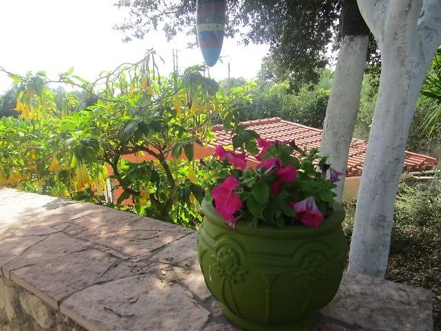 Apsedes * Trapezaki (Kefalonia)