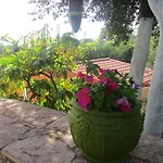 Apsedes * Trapezaki (Kefalonia)