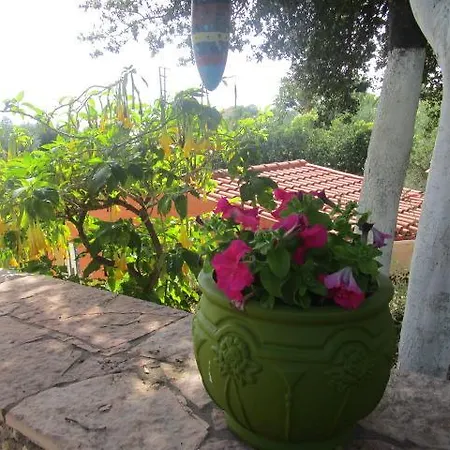 Apsedes * Trapezaki (Kefalonia)